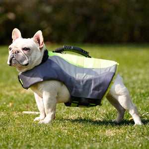 Why Your Pet Needs a Reflective Swim Life Jacket