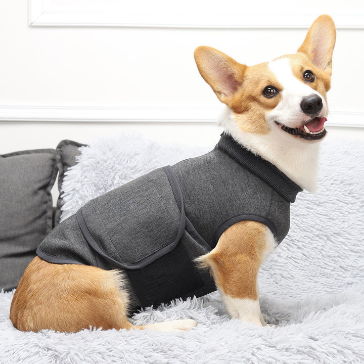 Emotional Comfort Pet Double Layer Jacket Apparel - The Perfect Blend of Style and Warmth