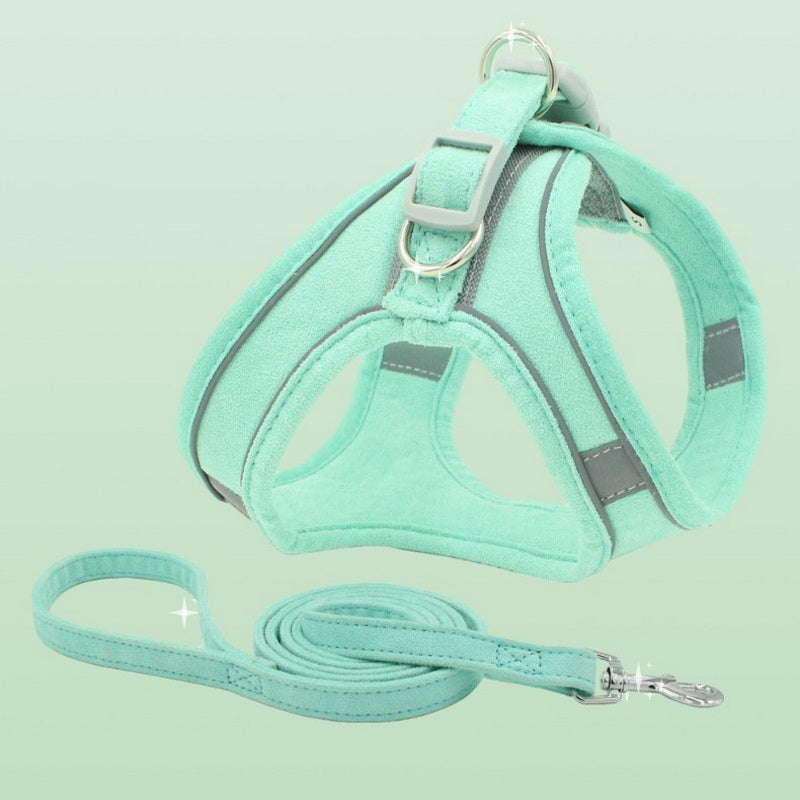 Why Your Pet Needs a Stylish and Comfortable Harness