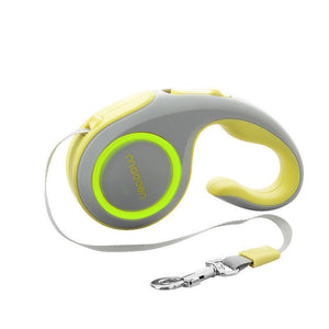 Discover the Ultimate Pet Walking Experience