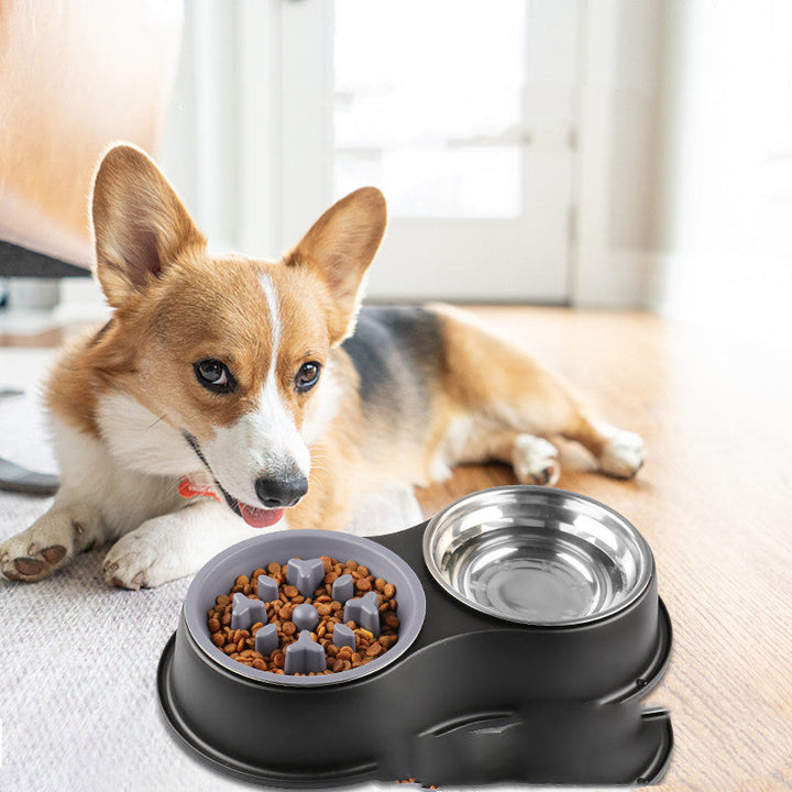 The Perfect Solution for Your Pet's Feeding Needs