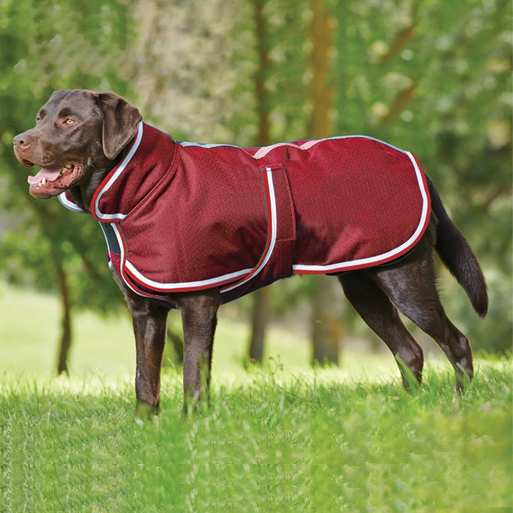 Warm Waterproof Pet Leisure Jacket Apparel: The Ultimate Comfort for Your Furry Friends